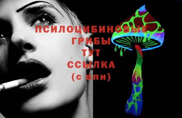 ГАЛЛЮЦИНОГЕННЫЕ ГРИБЫ Богородицк