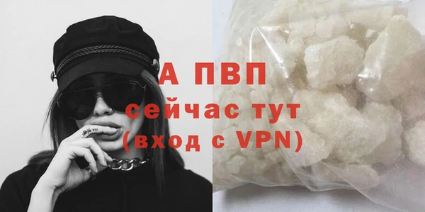 ешки Богданович
