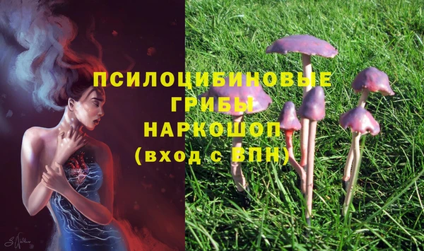сатива Богородск