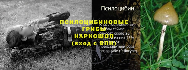 сатива Богородск
