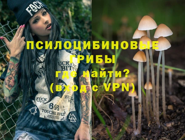 ГАЛЛЮЦИНОГЕННЫЕ ГРИБЫ Богородицк