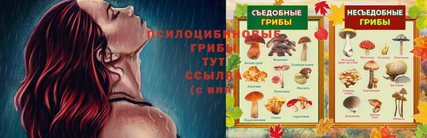 ГАЛЛЮЦИНОГЕННЫЕ ГРИБЫ Богородицк