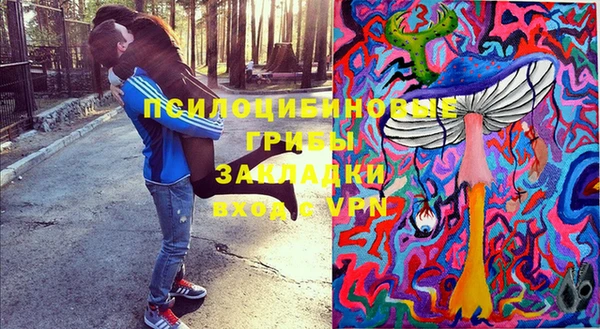 сатива Богородск